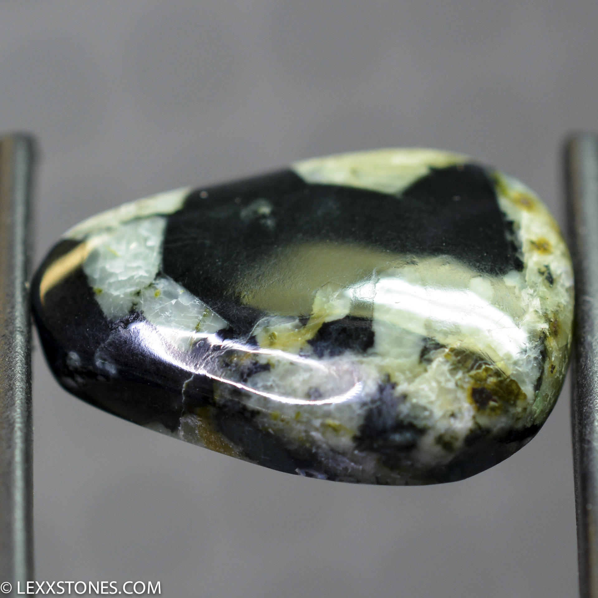 Edward's Black Wyoming Nephrite Jade Lexx Stones | Lexx Stones